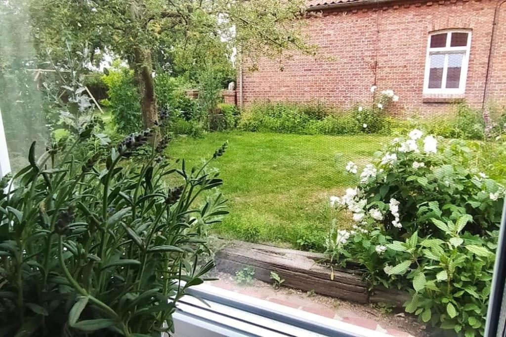 Fairschlafen - Gartenwohnung Bücken Εξωτερικό φωτογραφία